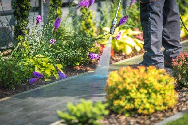 Winterizing Services in Arcadia, FL
